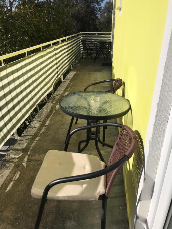 Apartments Monika Bibinje Zewnętrze zdjęcie