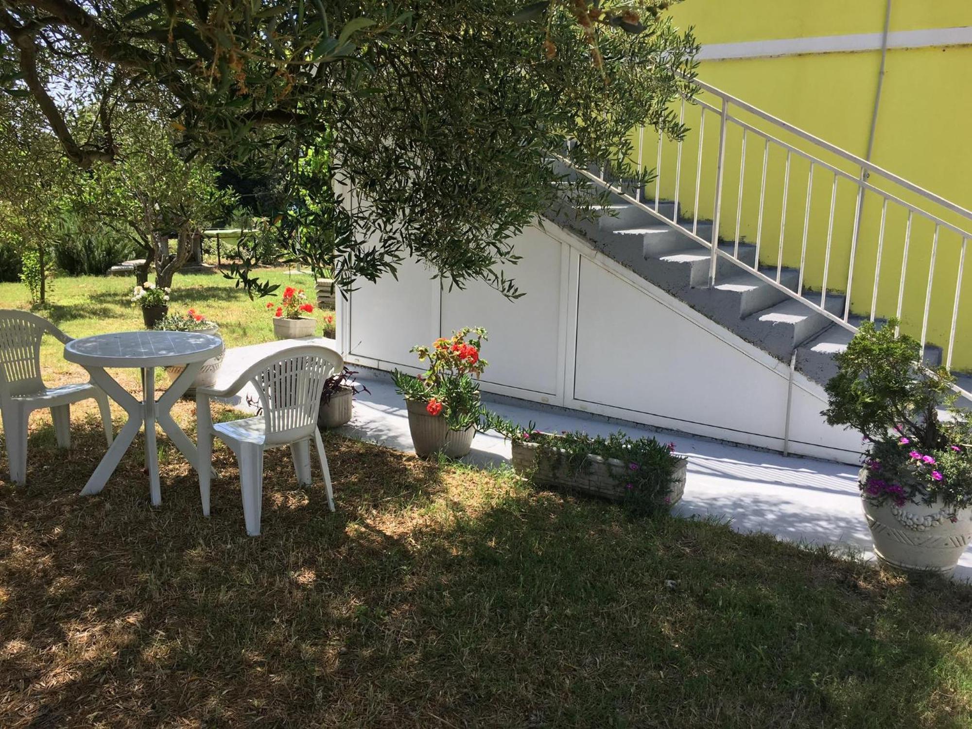 Apartments Monika Bibinje Zewnętrze zdjęcie